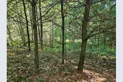 Lot 3.2 Off Parker Road, Lisbon, NH 03585 - Photo 9
