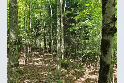 Lot 3.3 Off Parker Road, Lisbon, NH 03585 - Photo 7