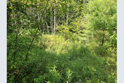 Lot 3.3 Off Parker Road, Lisbon, NH 03585 - Photo 5
