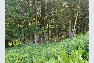 Lot 3.3 Off Parker Road, Lisbon, NH 03585 - Photo 15