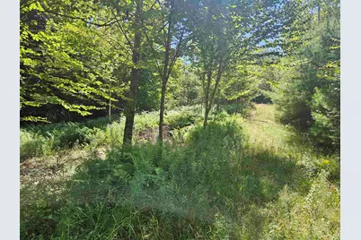 Lot 3.3 Off Parker Road, Lisbon, NH 03585 - Photo 13
