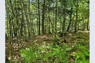 Lot 3.3 Off Parker Road, Lisbon, NH 03585 - Photo 13