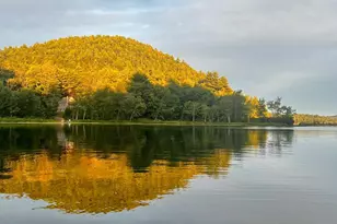 21 Crittenden Rd, Bradford, NH 03221 - Photo 1