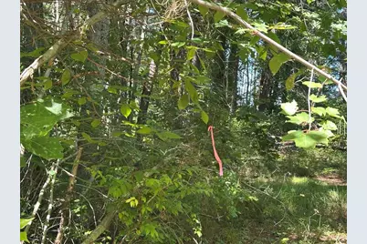 12 Baxter Place, Alton, NH 03809 - Photo 15