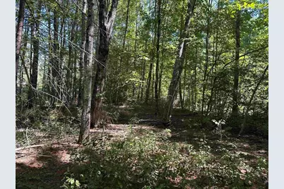 12 Baxter Place, Alton, NH 03809 - Photo 1