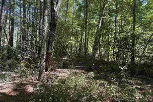 12 Baxter Pl, Alton, NH 03809 - Photo 1