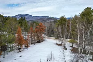 2 Attitash Woods Rd, Bartlett, NH 03812 - Photo 45