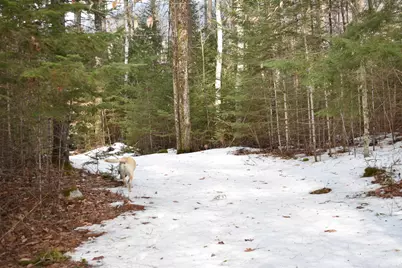 00 Stimson Road, Warren, NH 03279 - Photo 3