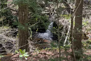 374 Burton Hwy, Wilton, NH 03086 - Photo 11