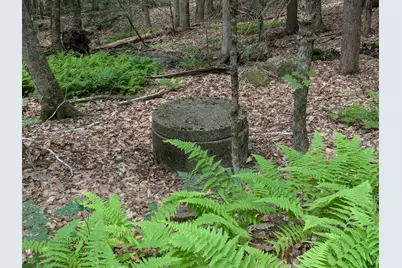 A 66 Burton Highway, Wilton, NH 03086 - Photo 9