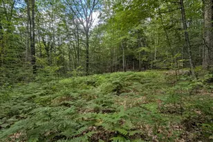 A 66 Burton Hwy, Wilton, NH 03086 - Photo 1