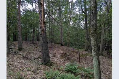 A 66 Burton Highway, Wilton, NH 03086 - Photo 5