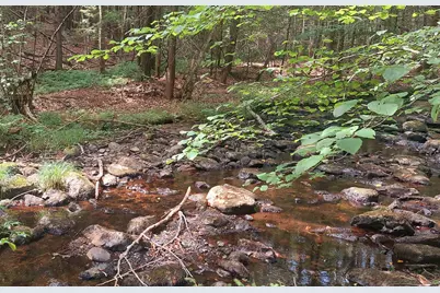 A 66 Burton Highway, Wilton, NH 03086 - Photo 11