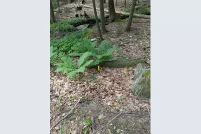 A 66 Burton Highway, Wilton, NH 03086 - Photo 19