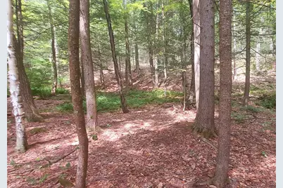 A 66 Burton Highway, Wilton, NH 03086 - Photo 23