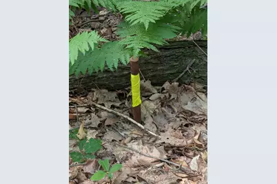 A 66 Burton Highway, Wilton, NH 03086 - Photo 17