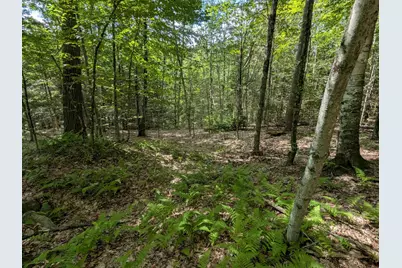 A 66 Burton Highway, Wilton, NH 03086 - Photo 15
