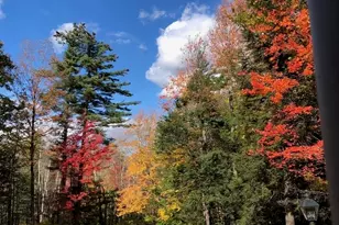 1481 Bennington Rd, Francestown, NH 03043 - Photo 53