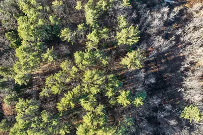 Camp Road #14, Wolfeboro, NH 03894 - Photo 9