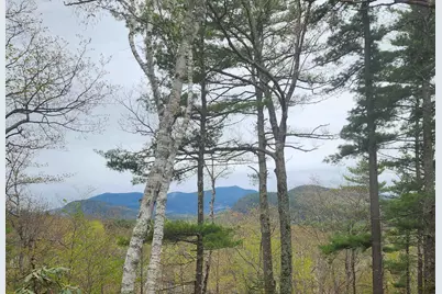 00 Moat Mountain Circle, Bartlett, NH 03845 - Photo 11