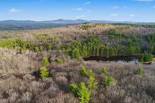 22 Grew Dr, Hancock, NH 03449 - Photo 59