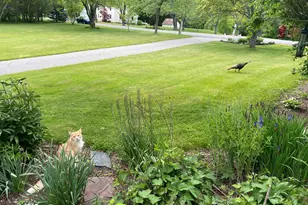 6 Meloon Rd, Greenland, NH 03840 - Photo 41