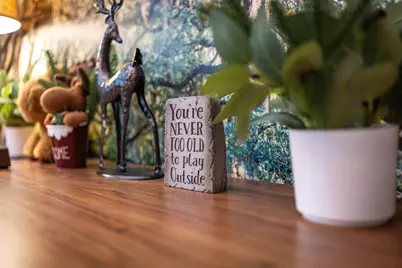 2955 White Mountain Highway #125 E22, Conway, NH 03860 - Photo 7