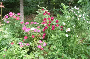 26 Jonathan Ln, Bow, NH 03304 - Photo 45