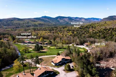 46 Linderhof Golf Course Road #D5, Bartlett, NH 03838 - Photo 23