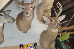 168 Huntress Bridge Rd, Effingham, NH 03882 - Photo 13