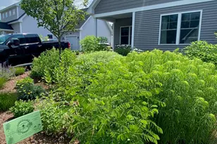 18 Church St, Peterborough, NH 03458 - Photo 41