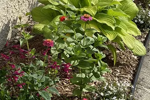 549 West St, Keene, NH 03431 - Photo 35