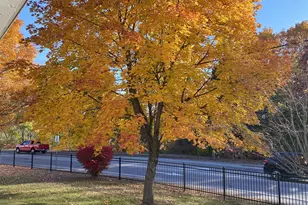 549 West St, Keene, NH 03431 - Photo 31