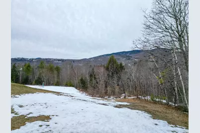 F21 Christmas Mountain Road #F21, Bartlett, NH 03812 - Photo 39