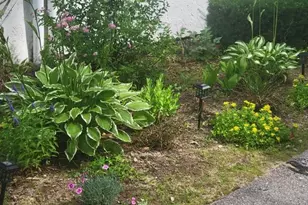 F21 Christmas Mountain Rd, Bartlett, NH 03812 - Photo 45