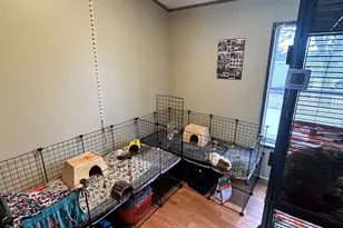 36 Morways Park, Charlestown, NH 03603 - Photo 21