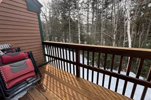 28 Tyler Spring Way, Waterville Valley, NH 03215 - Photo 19