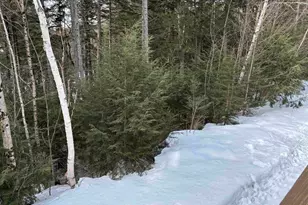 28 Tyler Spring Way, Waterville Valley, NH 03215 - Photo 33