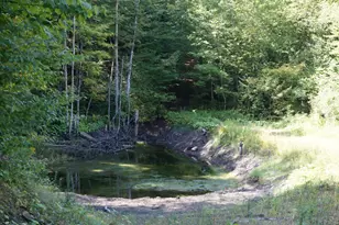 452 Vertical Mile Rd, Sheffield, VT 05866 - Photo 21