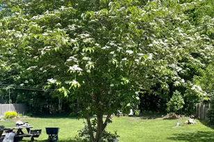 38 Oak St, Milford, NH 03055 - Photo 43