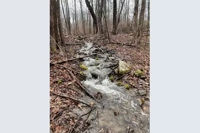 36 River Street, Greenville, NH 03048 - Photo 53