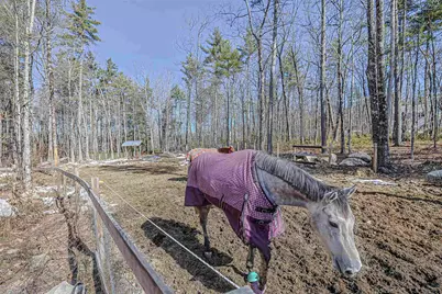 8 Poor Farm Road, Brookline, NH 03033 - Photo 49