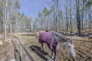 8 Poor Farm Rd, Brookline, NH 03033 - Photo 49