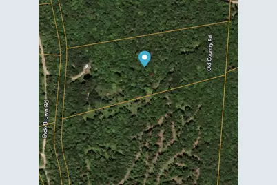 1850 Dick Brown Road, Bridgewater, NH 03222 - Photo 3