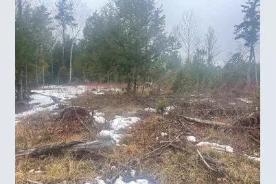 46 #1 Benton Road, Haverhill, NH 03774 - Photo 19