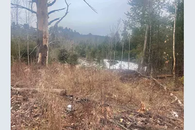 46 #2 Benton Road, Haverhill, NH 03774 - Photo 17