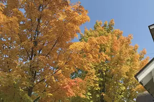 33 Joffre St, Concord, NH 03301 - Photo 23