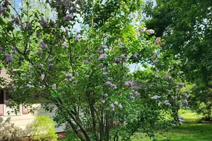 5 Quarry Rd, Somersworth, NH 03878 - Photo 23