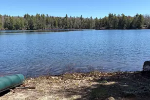 77 Wild Acre Dr, Washington, NH 03280 - Photo 3