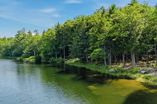 77 Wild Acre Dr, Washington, NH 03280 - Photo 1